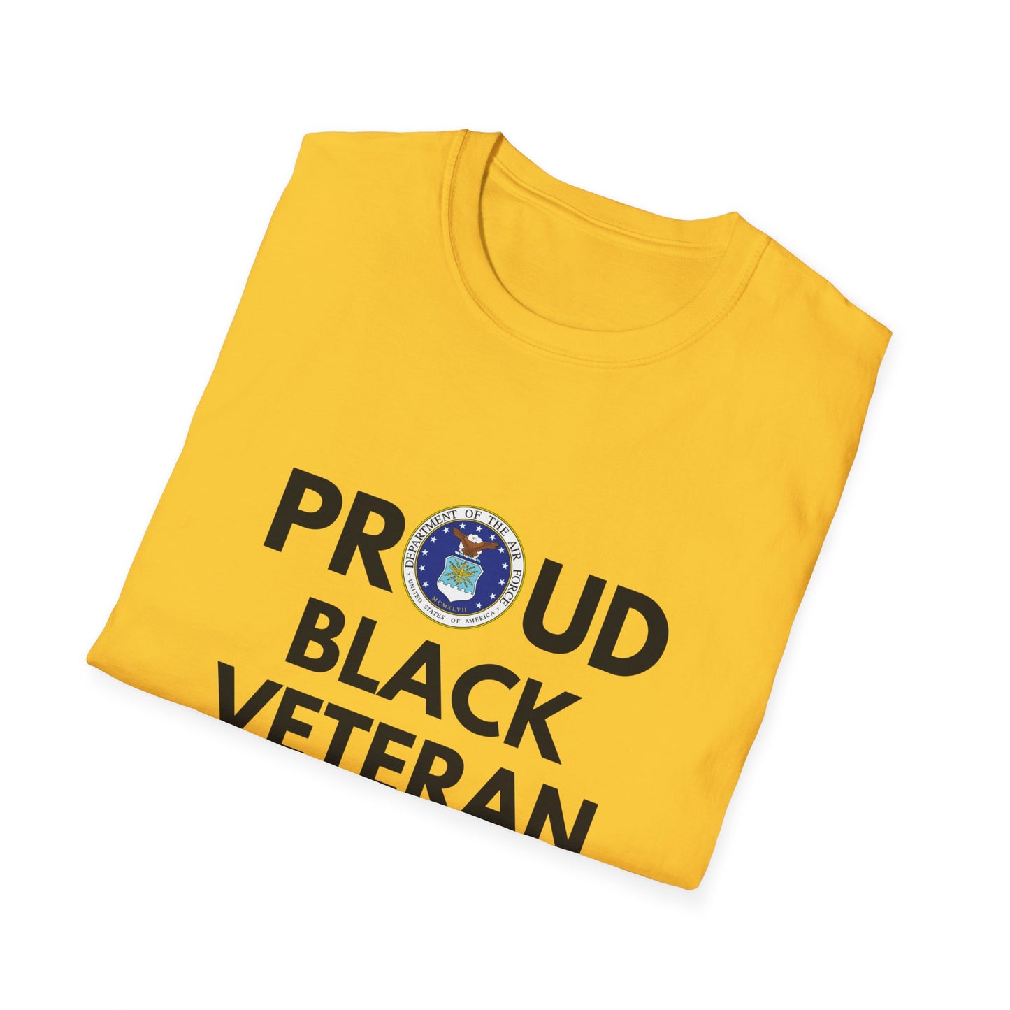 Air Force Proud Black Veteran - Unisex Softstyle T-Shirt