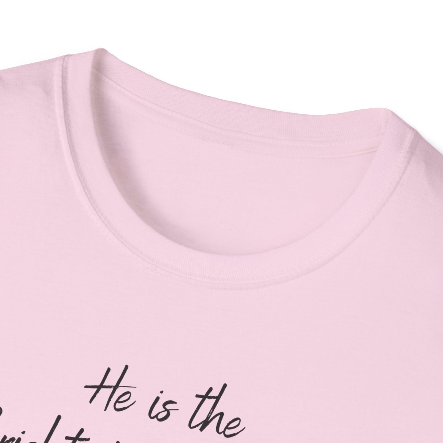 Revelations 22:16 - Unisex Softstyle T-Shirt