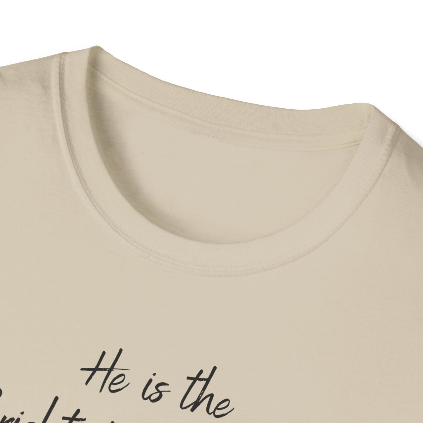 Revelations 22:16 - Unisex Softstyle T-Shirt