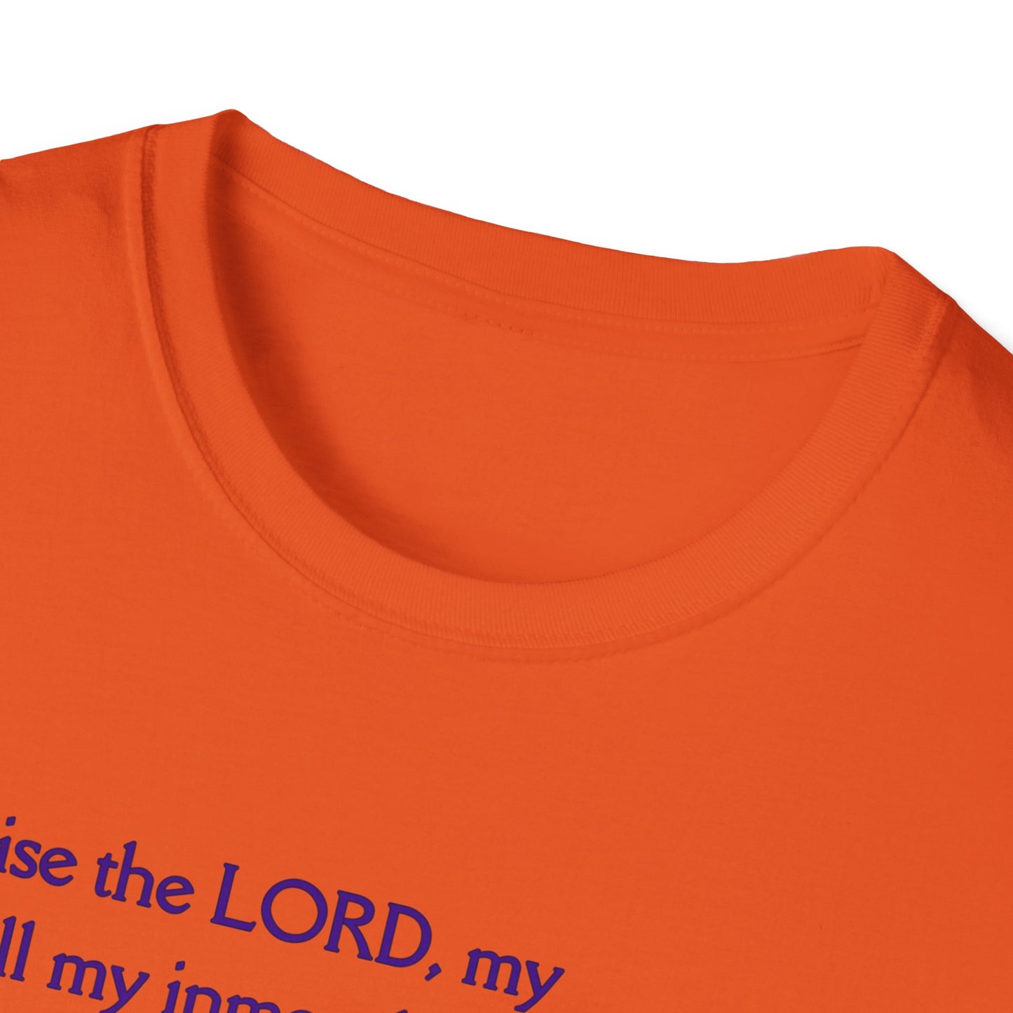 Psalms 103 - Unisex Softstyle T-Shirt