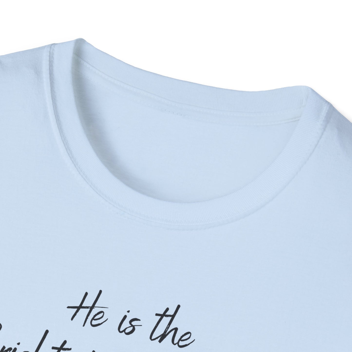 Revelations 22:16 - Unisex Softstyle T-Shirt