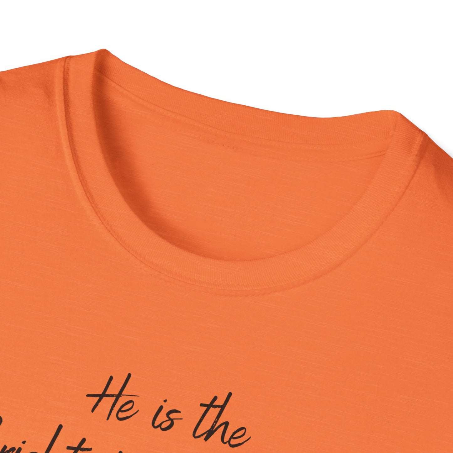 Revelations 22:16 - Unisex Softstyle T-Shirt