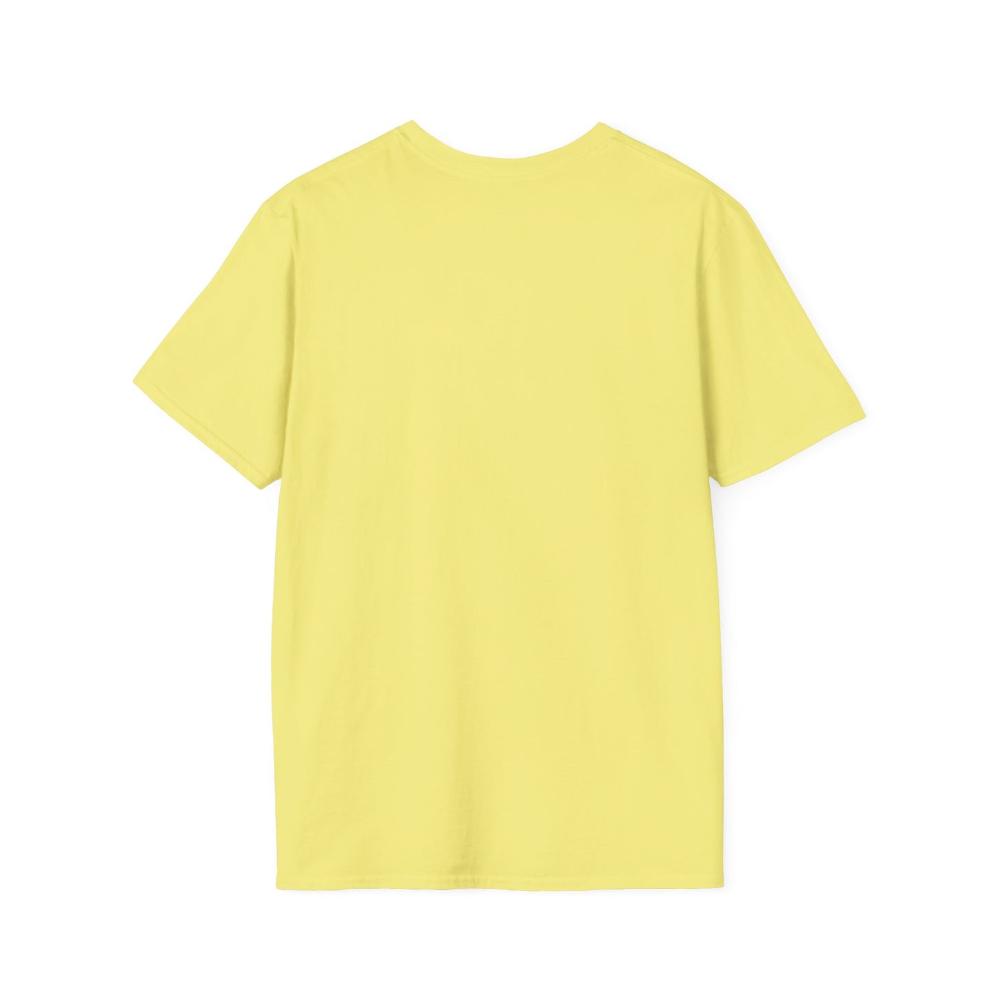 Matthew 5:4 - Unisex Softstyle T-Shirt