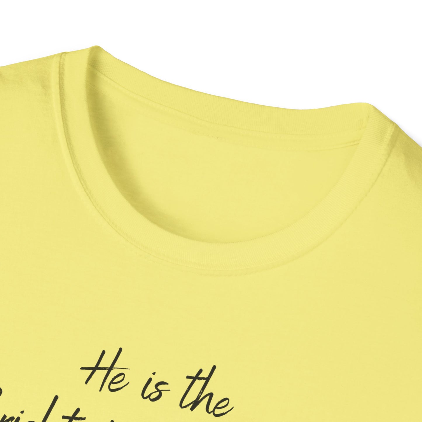 Revelations 22:16 - Unisex Softstyle T-Shirt