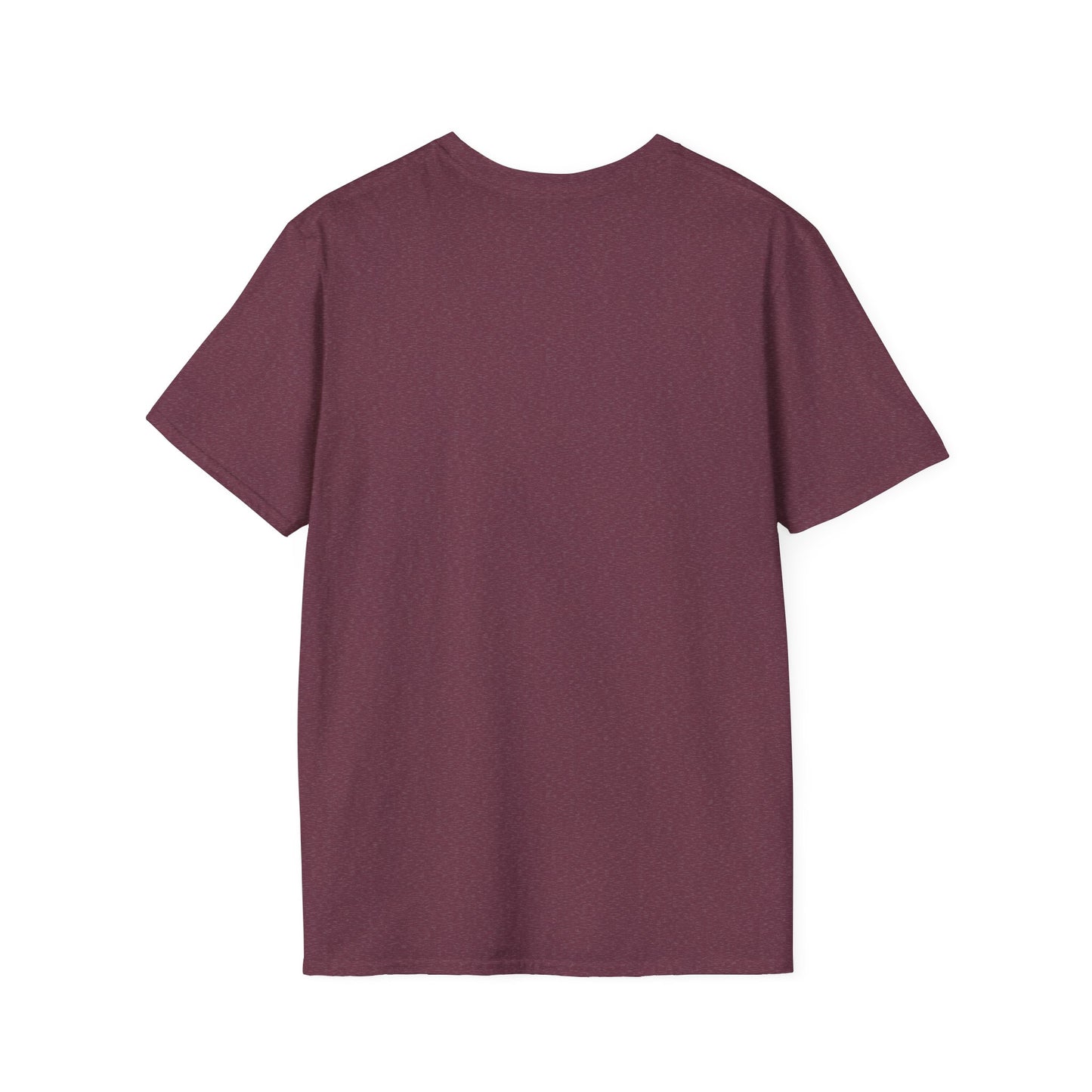 Matthew 5:4 - Unisex Softstyle T-Shirt