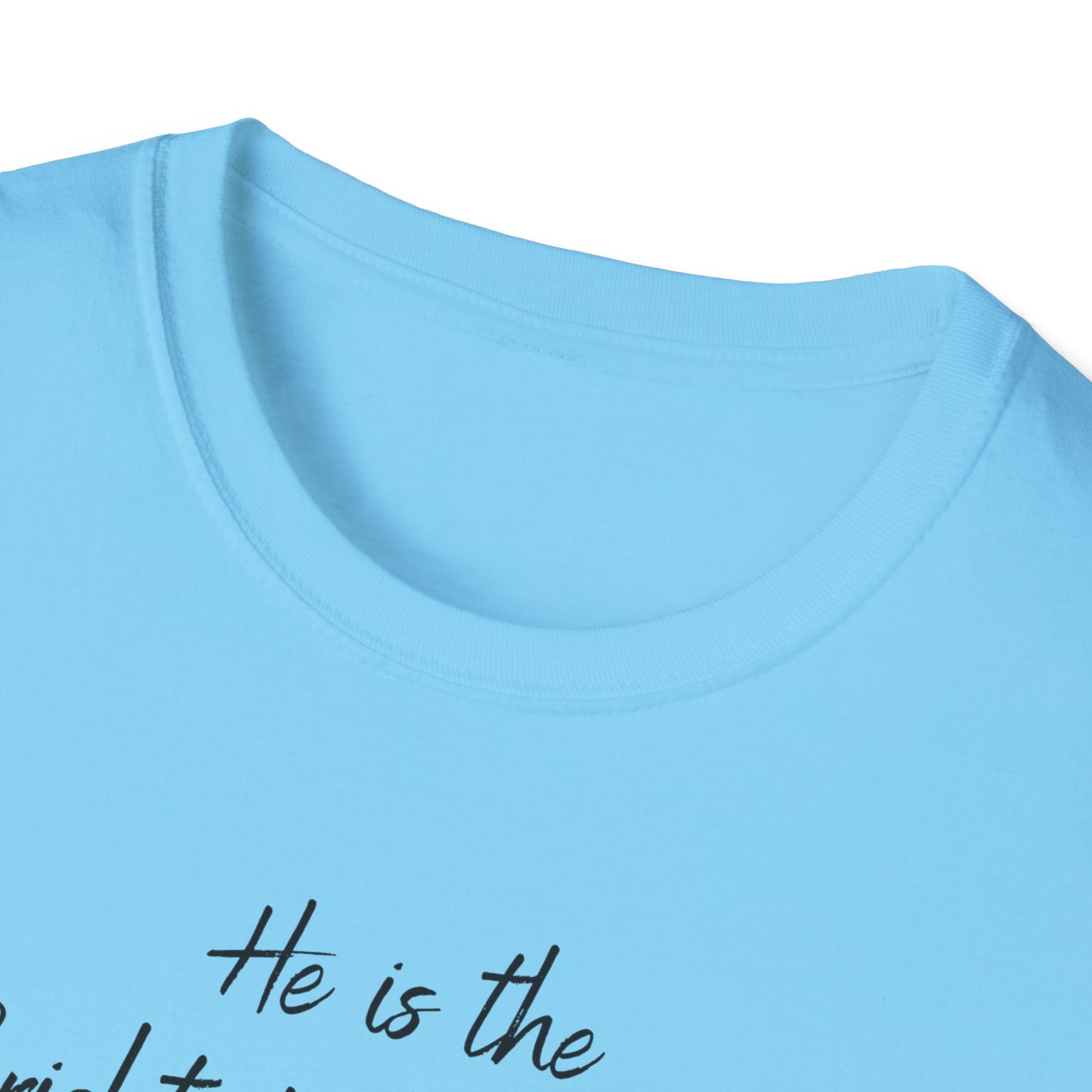 Revelations 22:16 - Unisex Softstyle T-Shirt