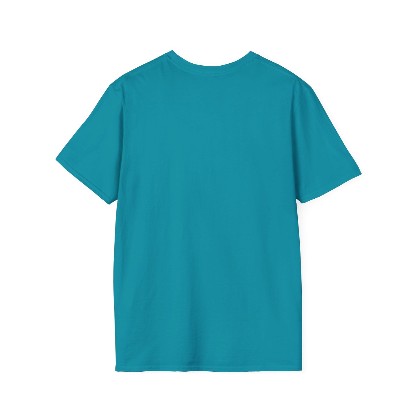 Matthew 5:4 - Unisex Softstyle T-Shirt