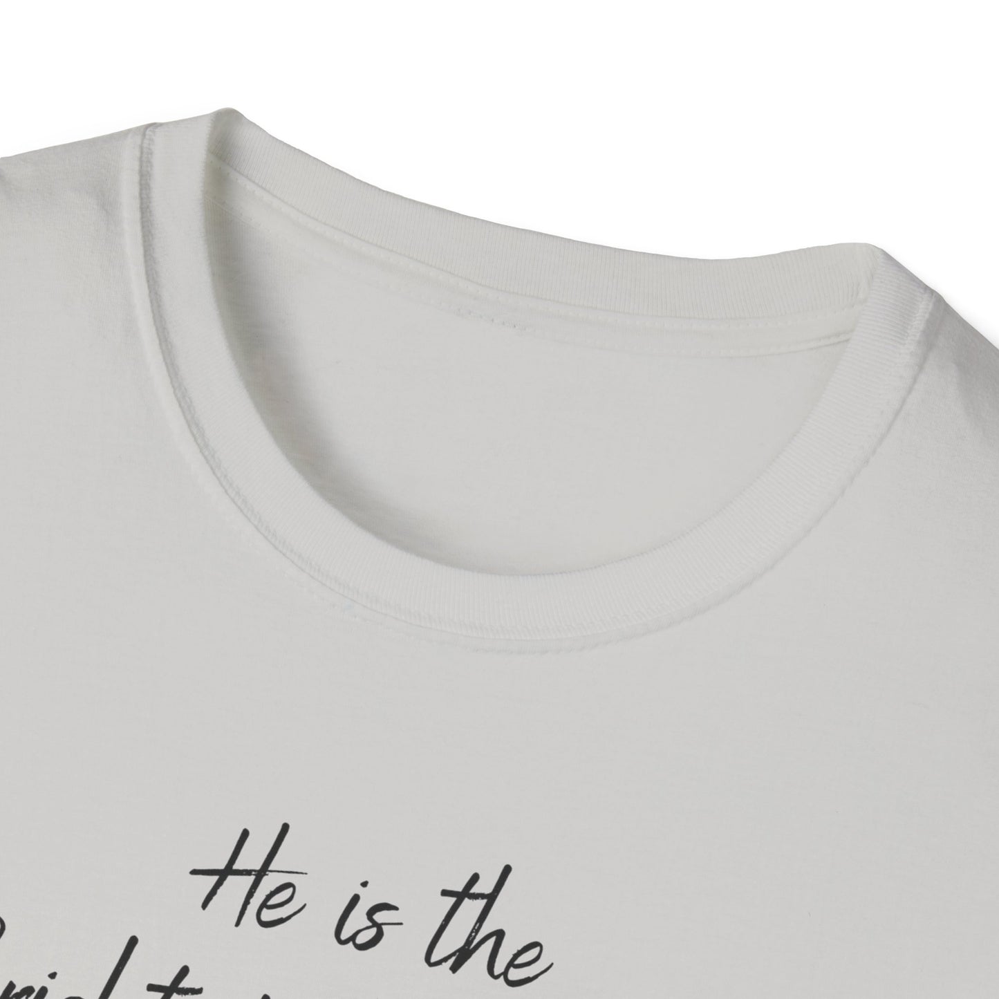 Revelations 22:16 - Unisex Softstyle T-Shirt