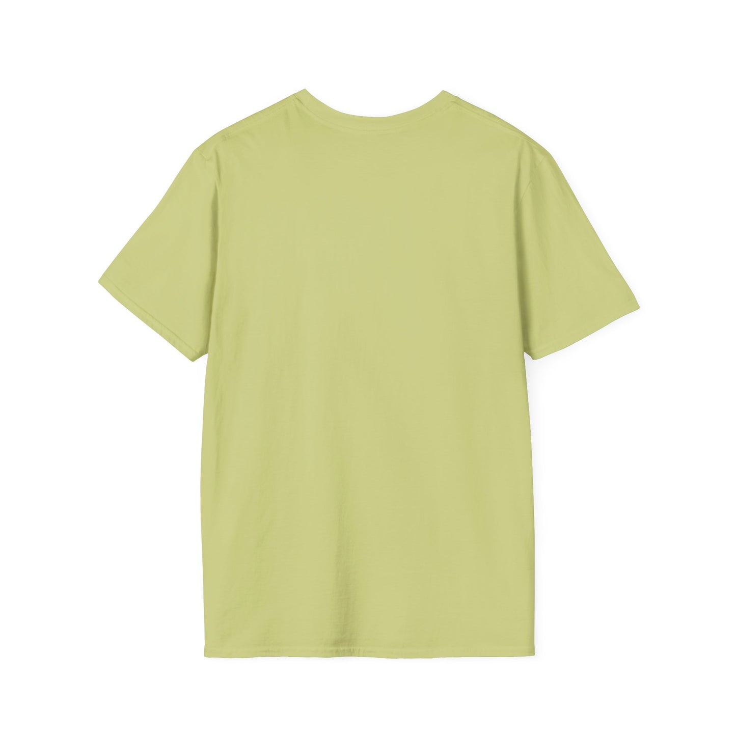 Matthew 5:4 - Unisex Softstyle T-Shirt