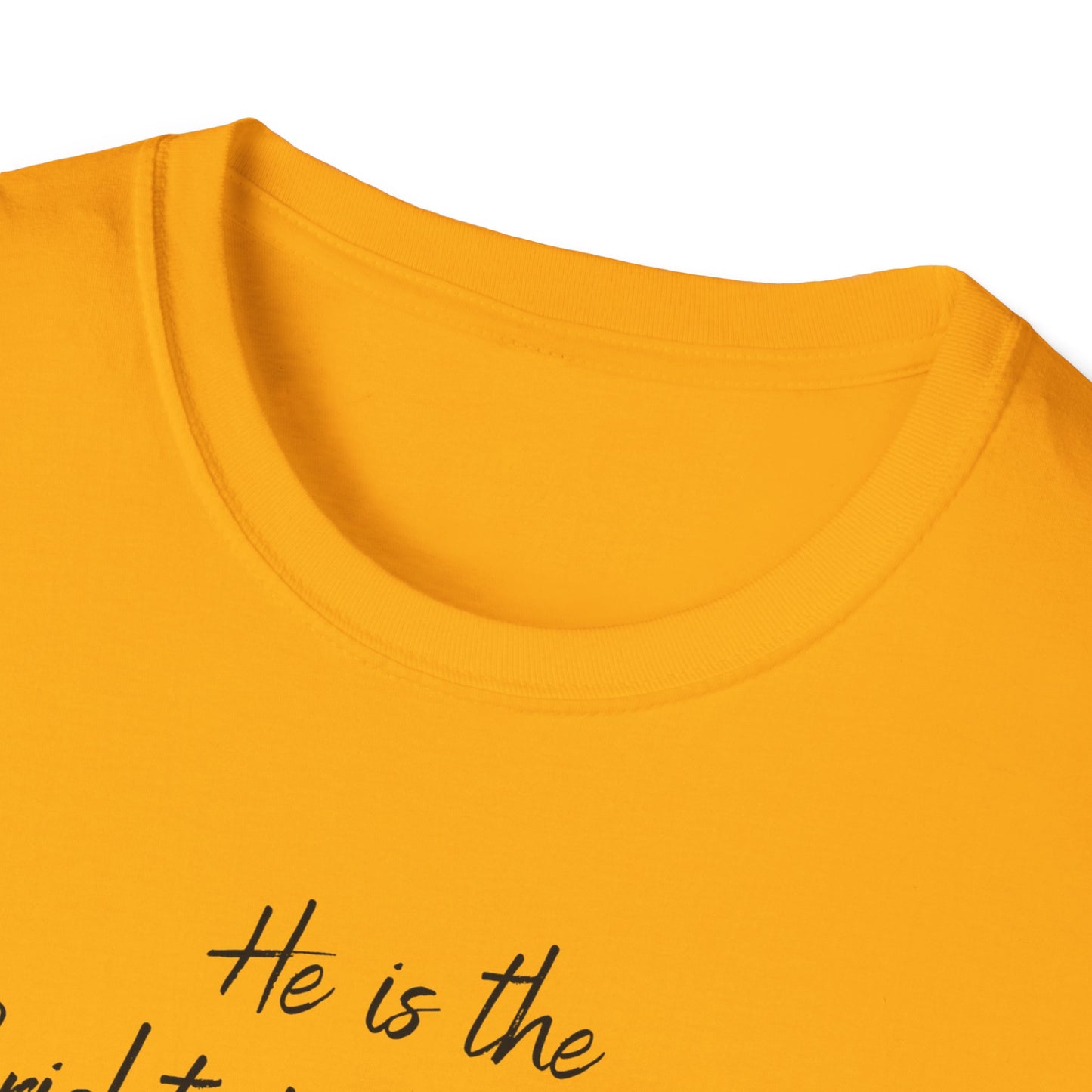 Revelations 22:16 - Unisex Softstyle T-Shirt