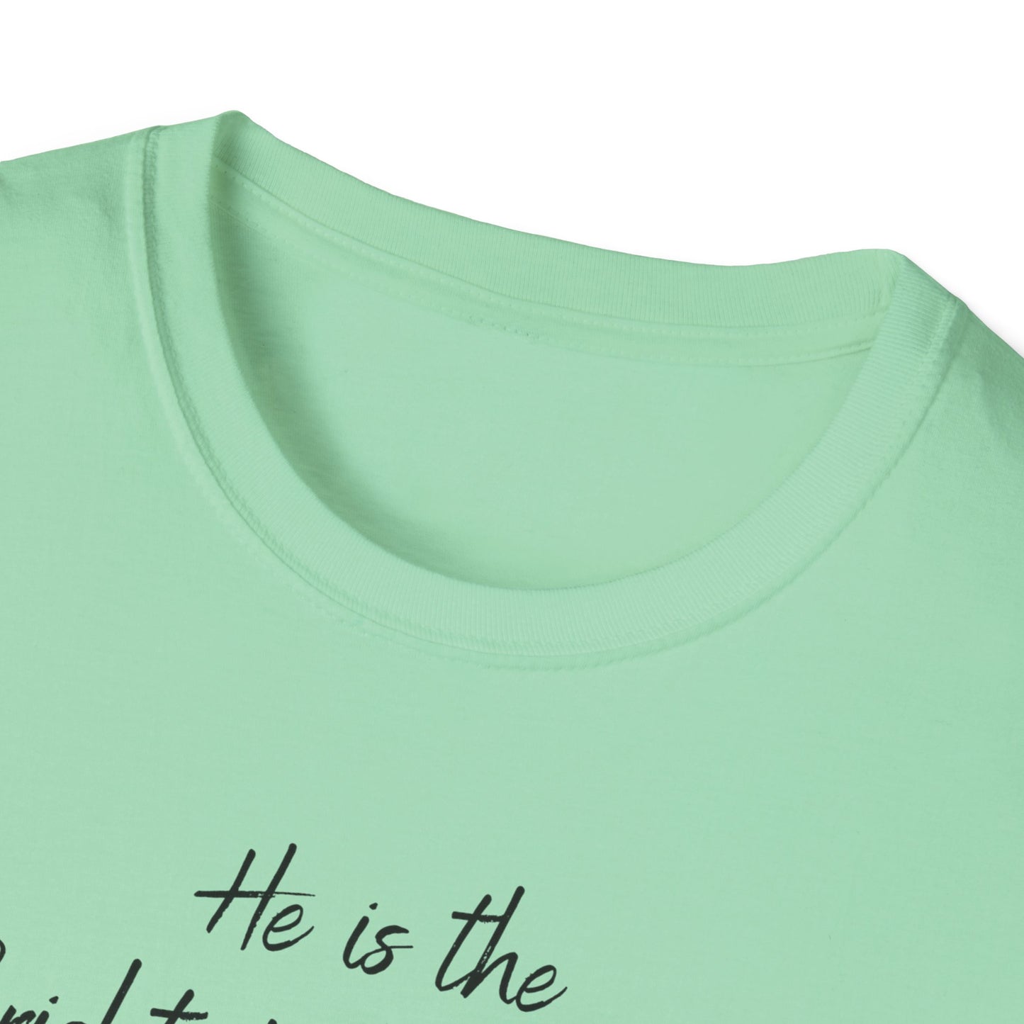 Revelations 22:16 - Unisex Softstyle T-Shirt